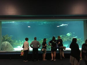 Aquarium Curriculum