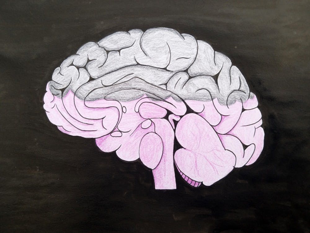 A pessimist is a brain-half-empty sort of person. Illustration published Tuesday, Nov. 29, 2016.