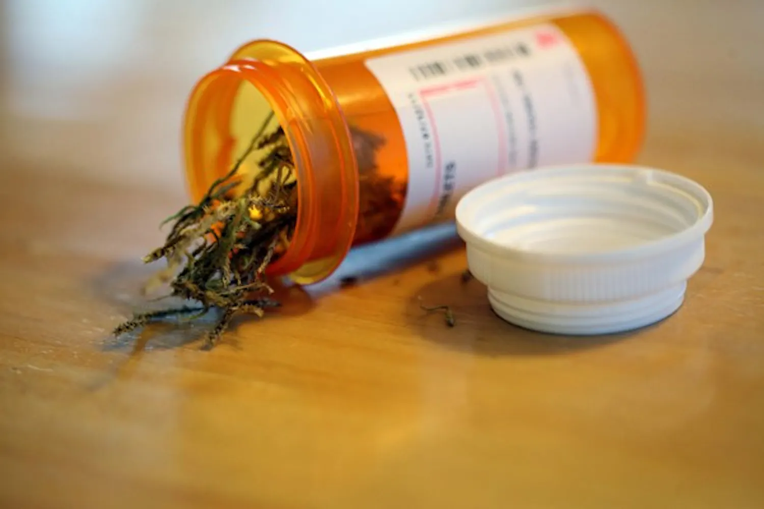 Last week Arizona Gov. Jan Brewer retracted her lawsuit against the Arizona Medical Marijuana Act, which will allow prospective medical marijuana dispensaries to apply for their licenses. (Photo by Beth Easterbrook)