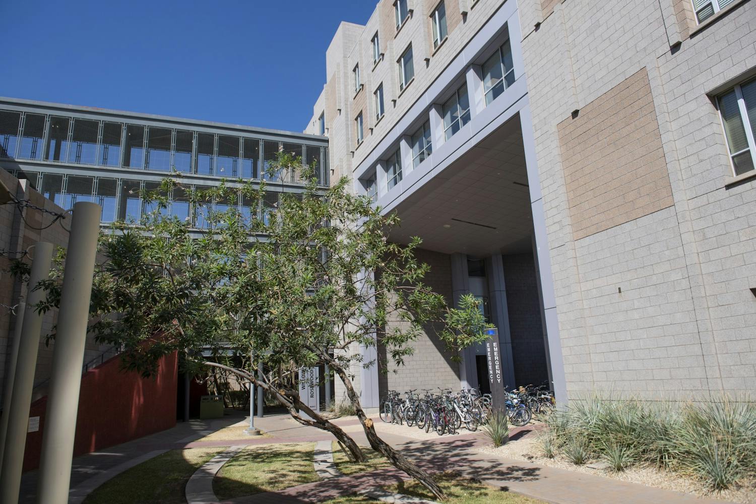 The Rosewood residential hall is pictured on Tuesday, Sept. 17, 2019, at Barrett, the Honors College, on the Tempe campus.
