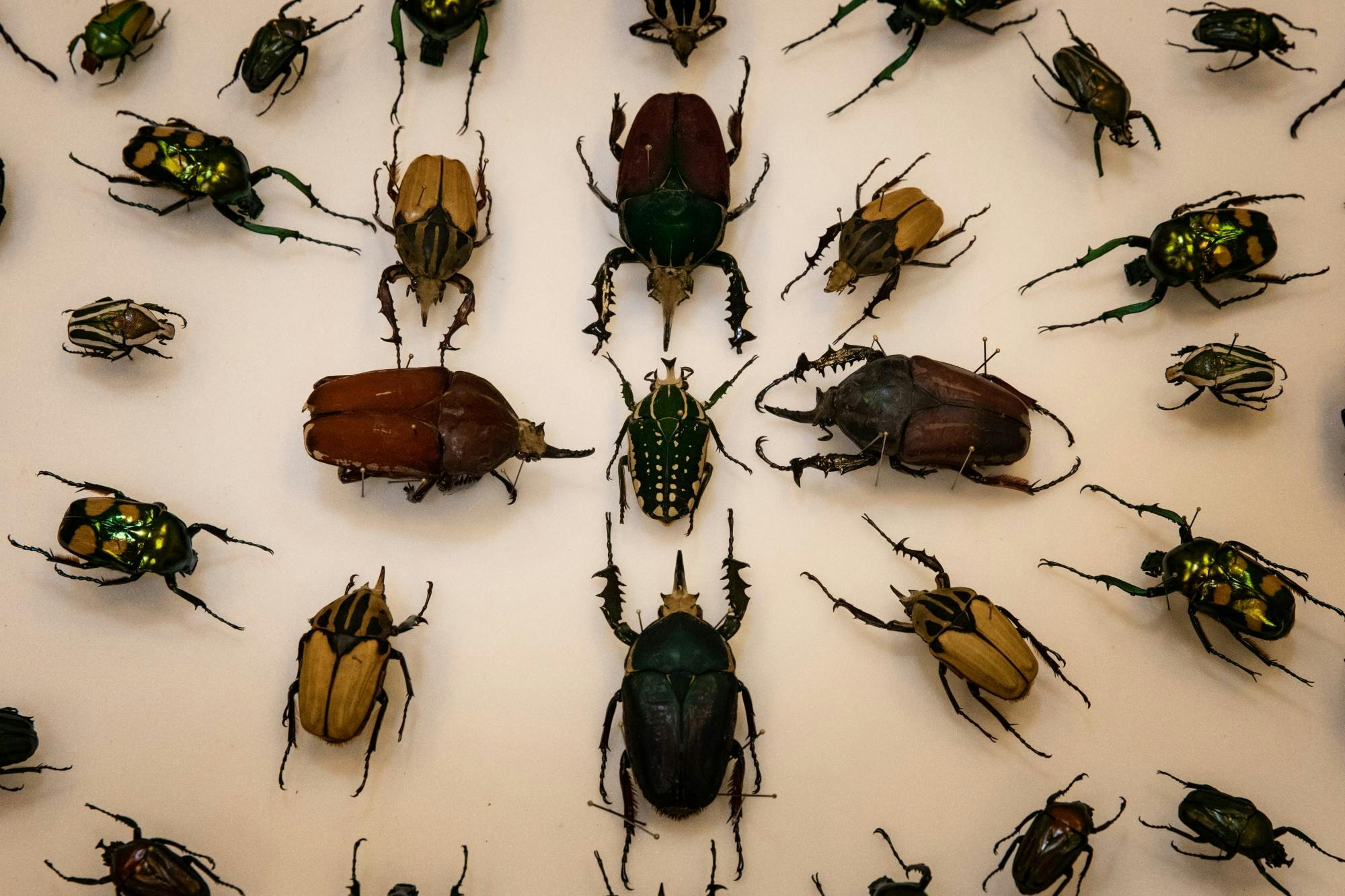 biophilia La Prensa.jpg