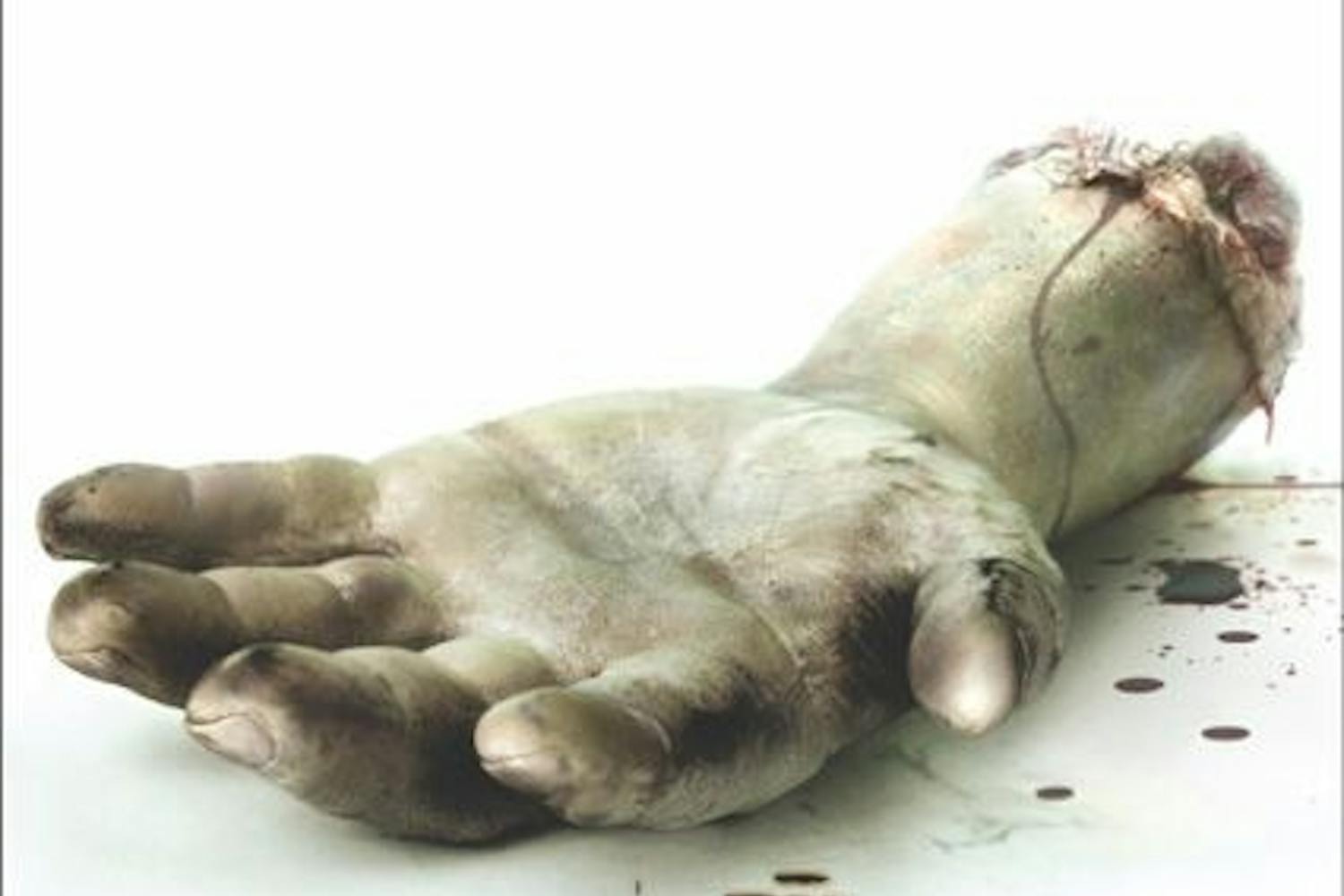 (Photo Courtesy of Lionsgate)