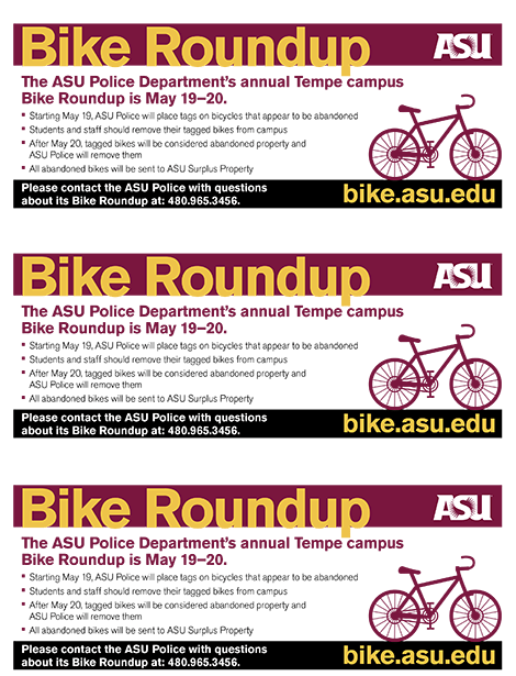 (Photo Courtesy of Julie Newberg)