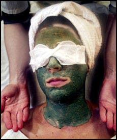 spmpage07-organicfashionkr