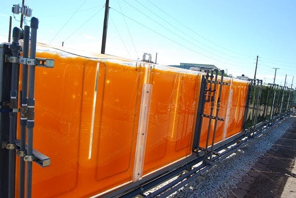 (Photo Courtesy of Laura Palmisano)