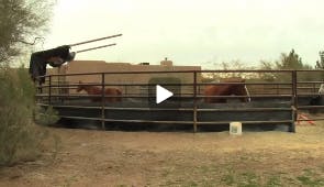HEADING HOME: ASU senior Braxton Marquez takes a swing at the Ping/Golfweek Preview earlier this season. The Sun Devils will host the ASU Thunderbird Invitational this weekend. (Photo Courtesy of ASU Golf)