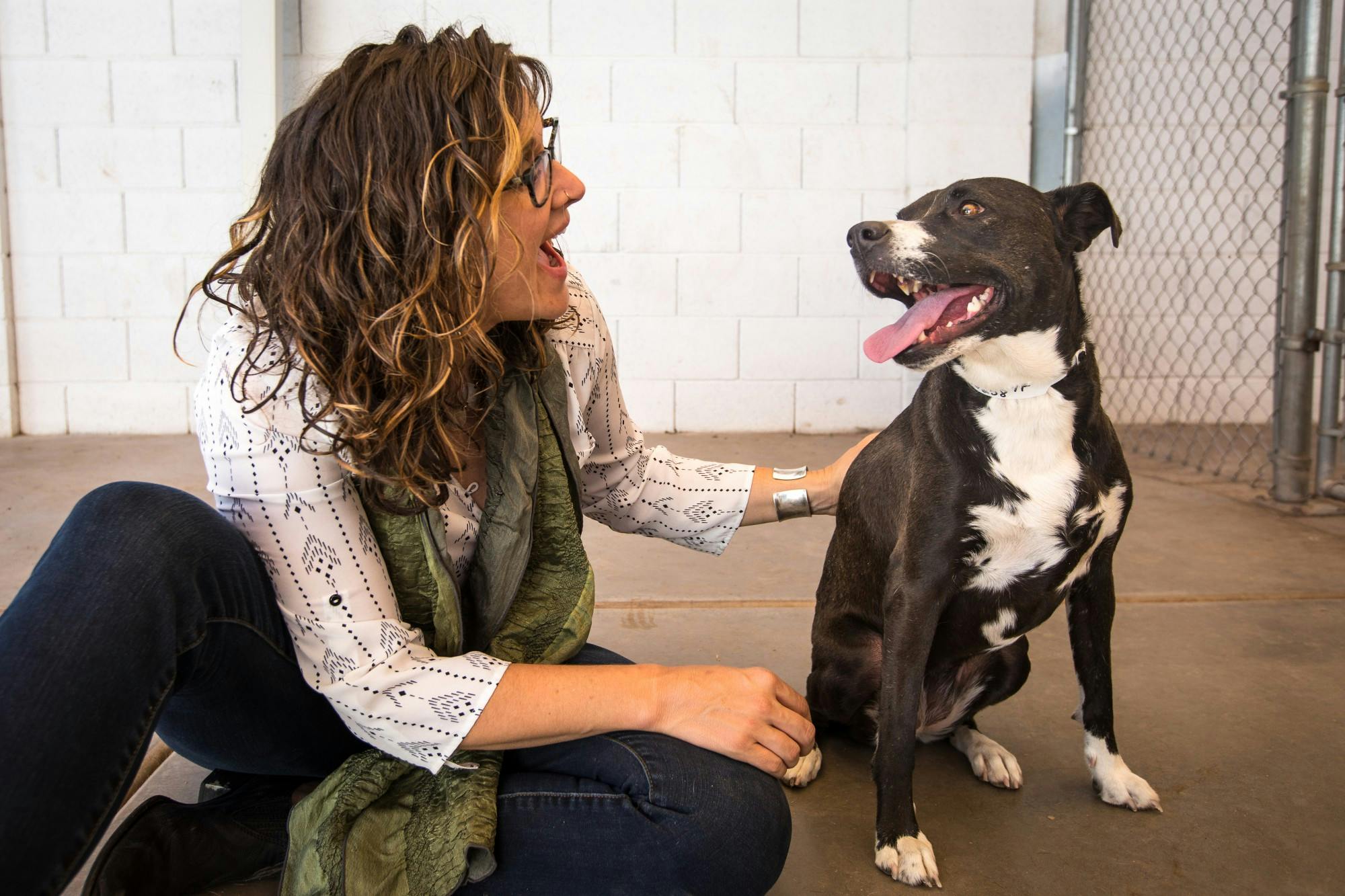 ASU Now - Shelter Dogs