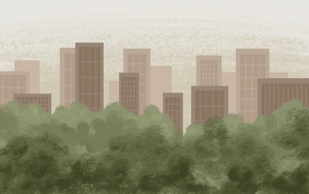 nghi-tran-urban-forest