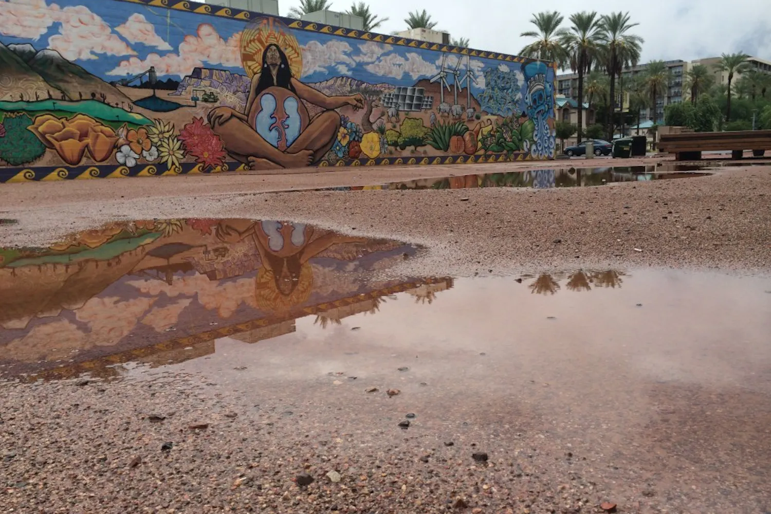 Flooding had subsided to puddles near the Valley Youth Theatre in Phoenix by midday. (Photo by Fabian Ardaya)