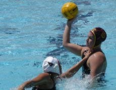 sports_waterpolo_webster