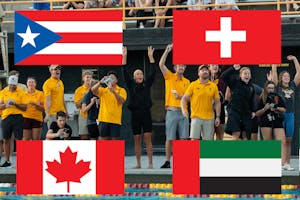 Swim and Dive Flag.jpg