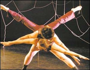 aedance