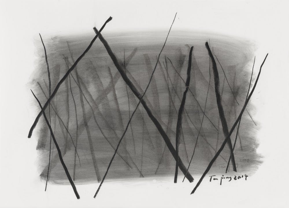 Title: Drawing
Charcoal
78.7 x 109.2 cm
2014
Courtesy of Tan Ping