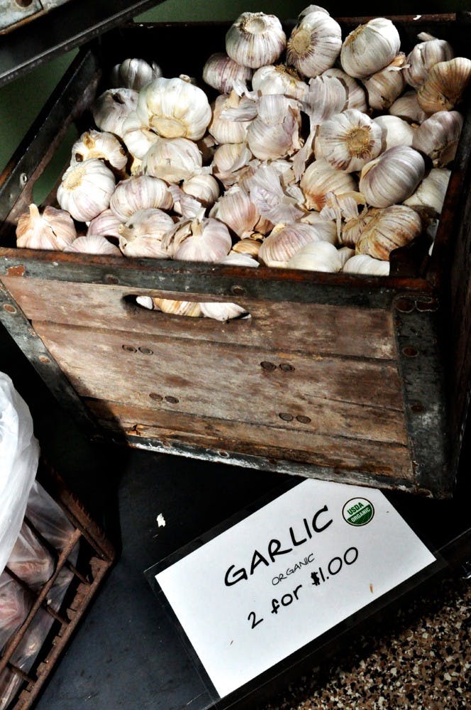 Photo by Alex Forestier.