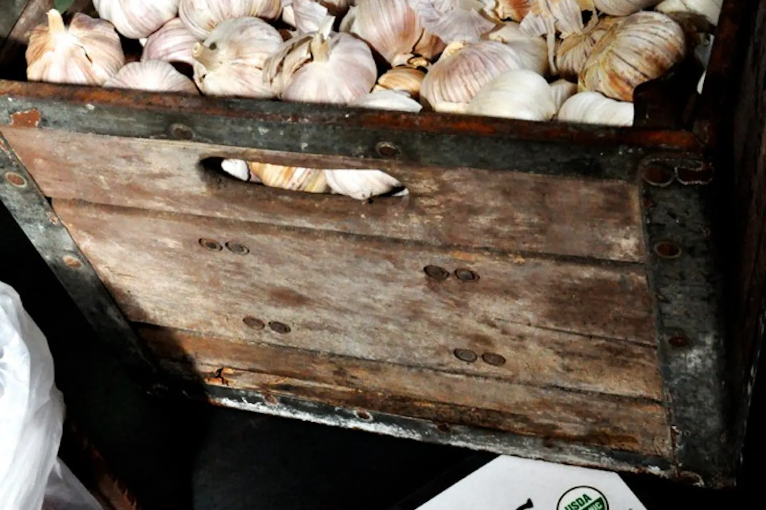 Photo by Alex Forestier.