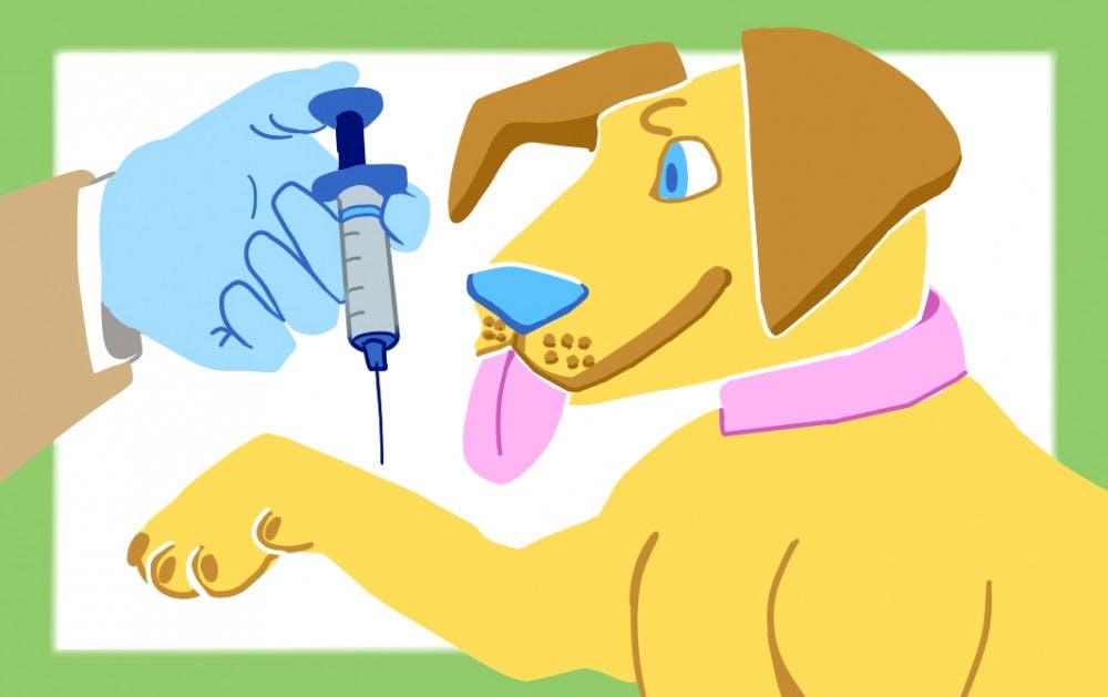 Doggy Vaccines.jpg