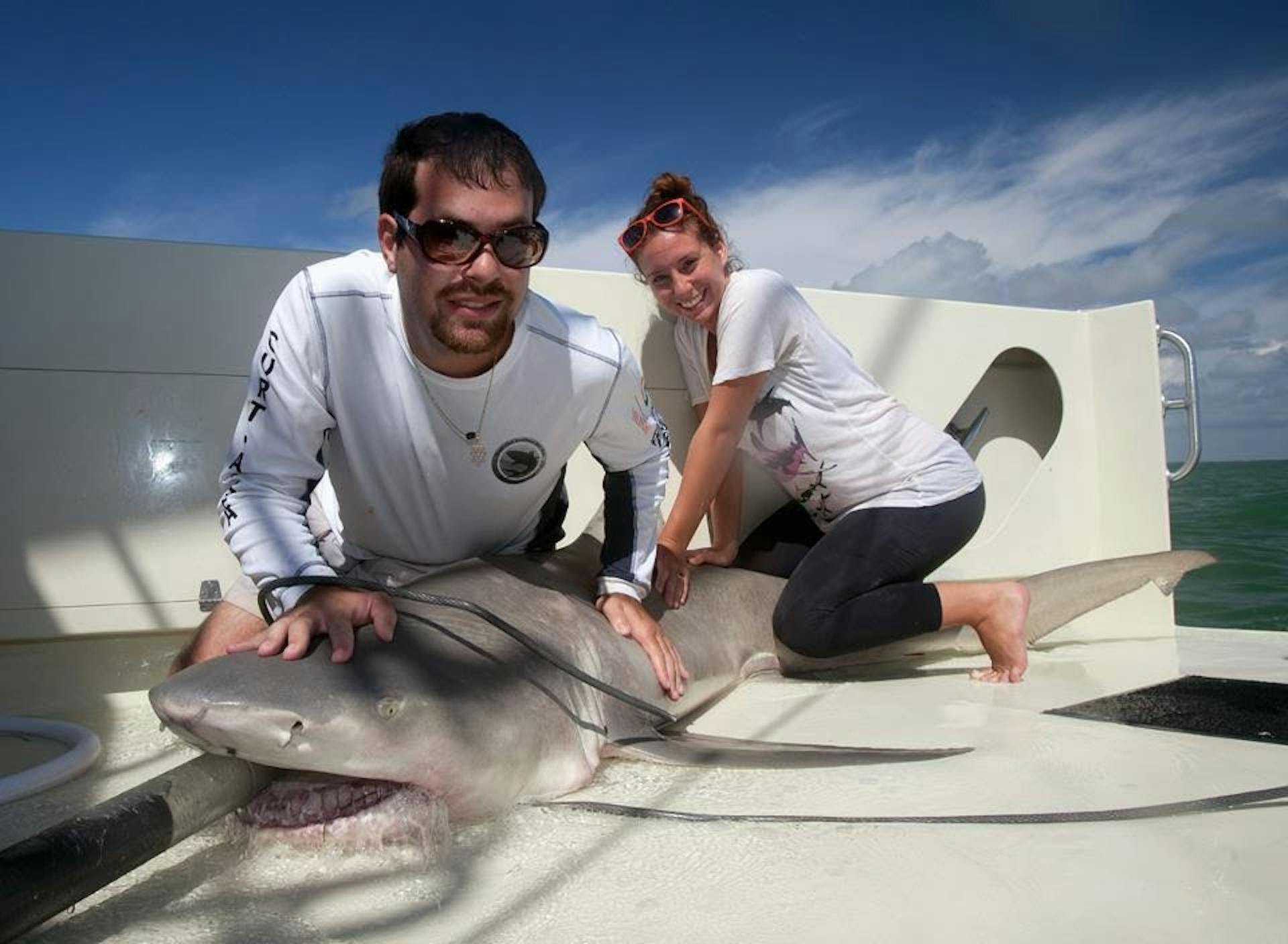 ASU shark expert is teaching people how to save his favorite animals - Vimarsana News