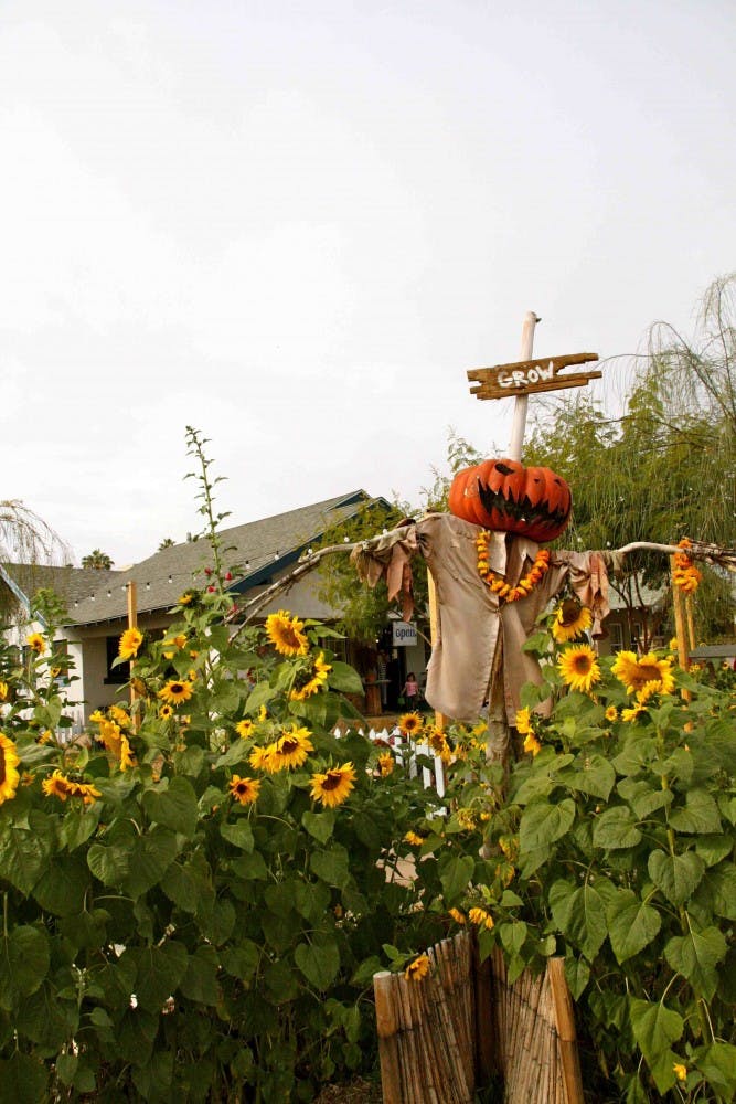 The Growhouse. Photo by Jessica Pruett.