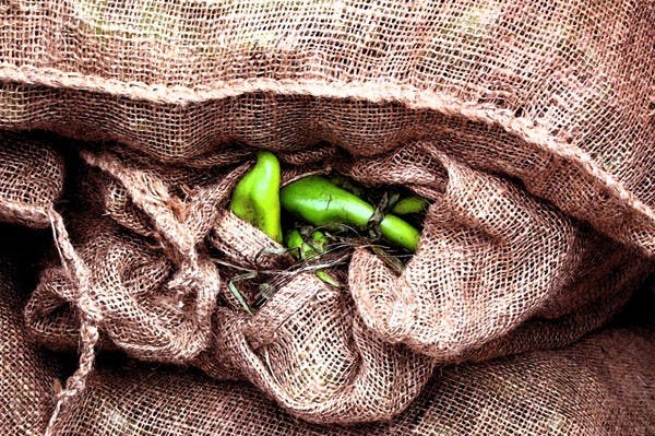 CLUB EXHIBIT: Information Technology junior Nicole Hoffman is one of the Graphic Information Technology Club members that has their work showcased in the club's exhibit on the Polytechnic campus. (Photo Courtesy of Nicole Hoffman)