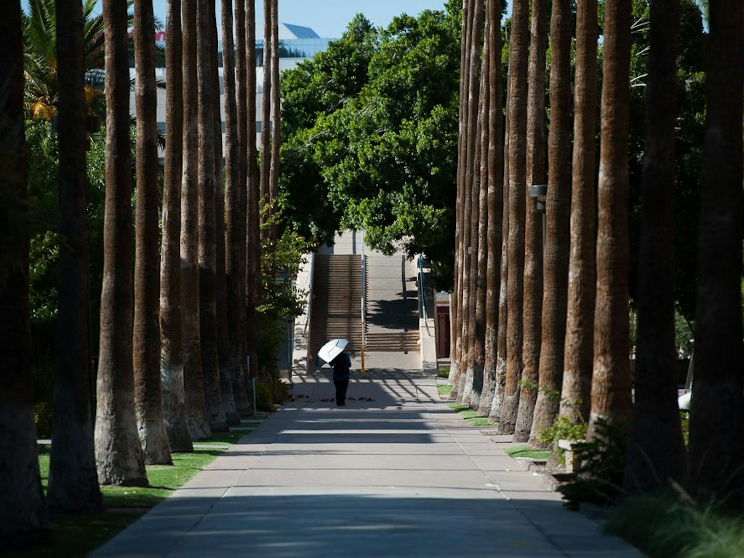 Photos: Dog days of summer in Tempe