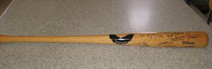 2006 Bat.jpg
