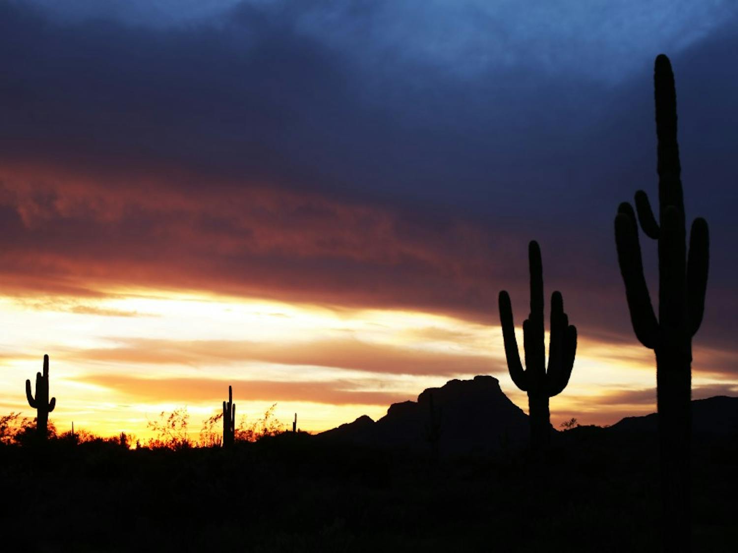 Exploring Beyond Campus