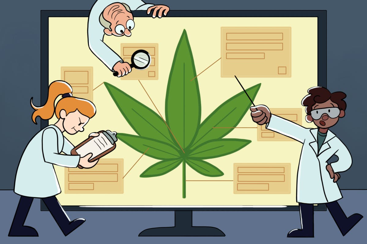 SciTech-ASU- cannabis-initiative (1).png