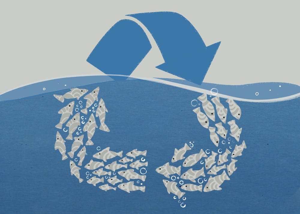 ASU researchers target seafood waste in federally funded investigation ...