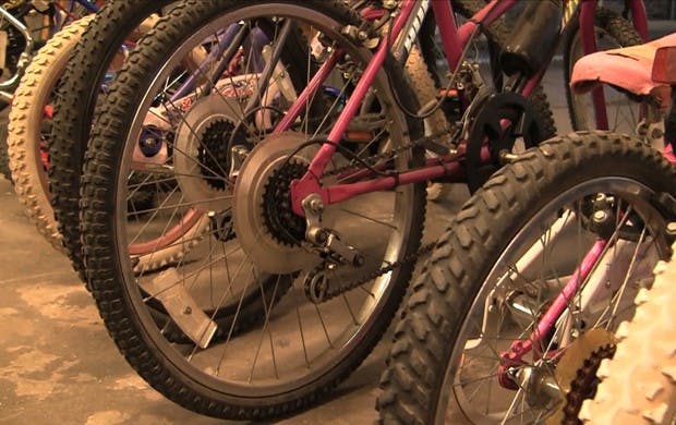 Photo by Rebecca Bever.