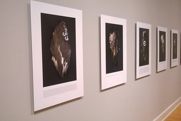 (Photo by Damion Julien-Rohman)