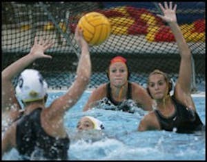 sports_waterpoloweb