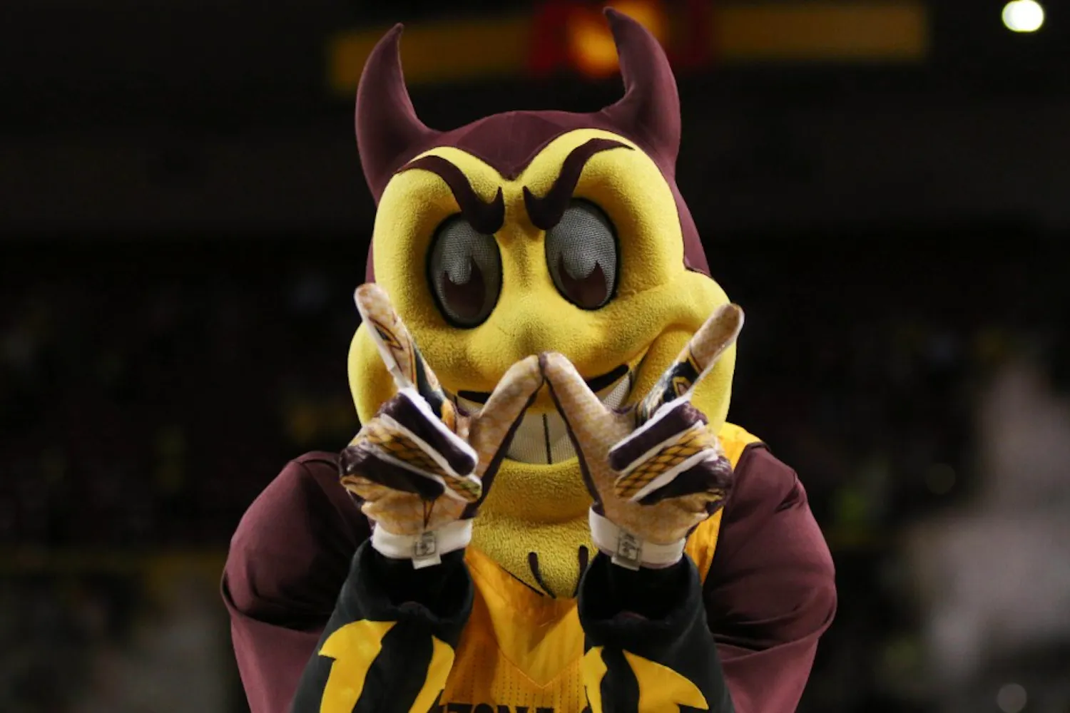 20180208 Sparky celebrating