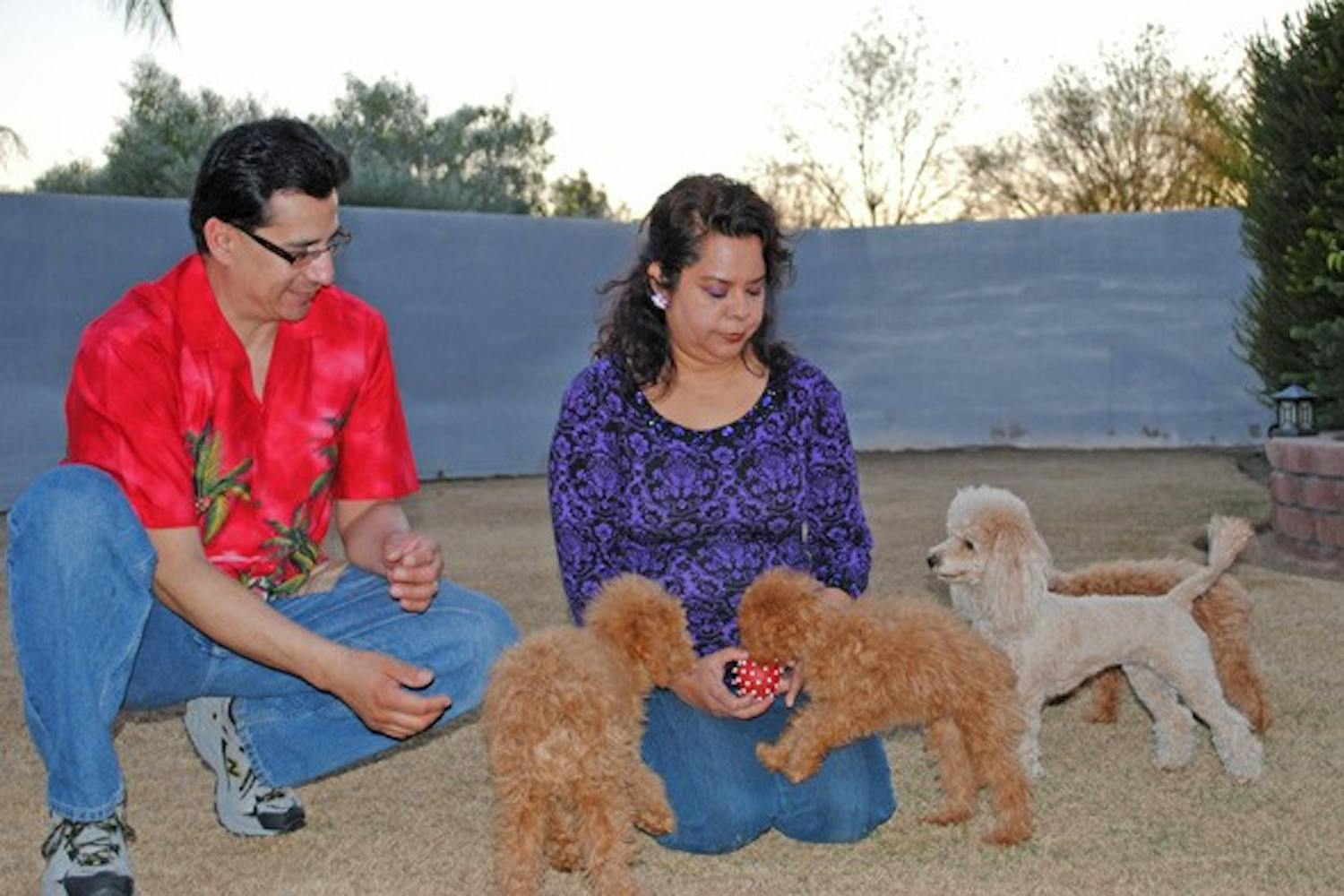 DOG DECREE: Richard and Sally Andrade play with their five miniature poodles. The couple hopes to pass legislation this year that would hold owners of aggressive dogs responsible if their pet attacks another animal. (Photo by Yvonne Gonzalez)
