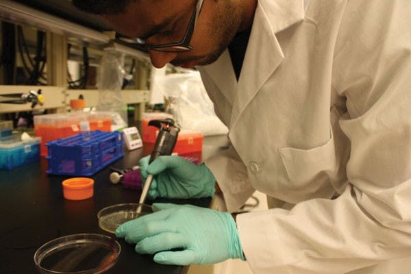 Biomedical Engineer junior Abhinav Markus works with a pipette tool to isolate a single colony from the bacteria plate. (Photo by Jessie Wardarski)