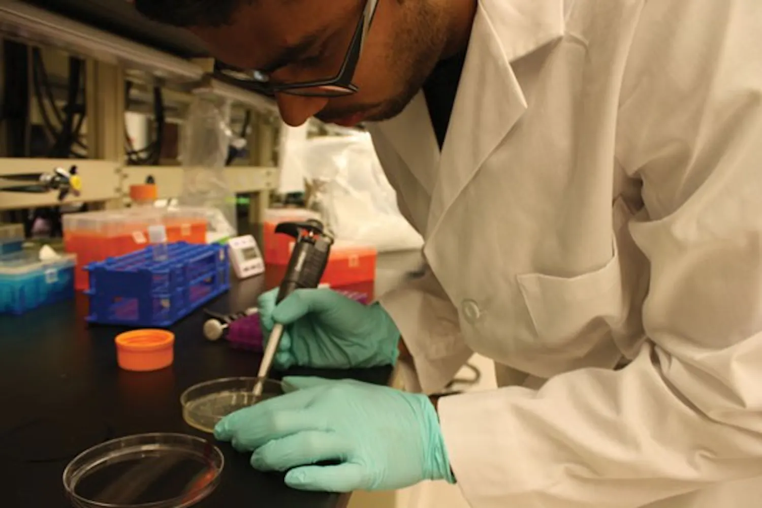Biomedical Engineer junior Abhinav Markus works with a pipette tool to isolate a single colony from the bacteria plate. (Photo by Jessie Wardarski)