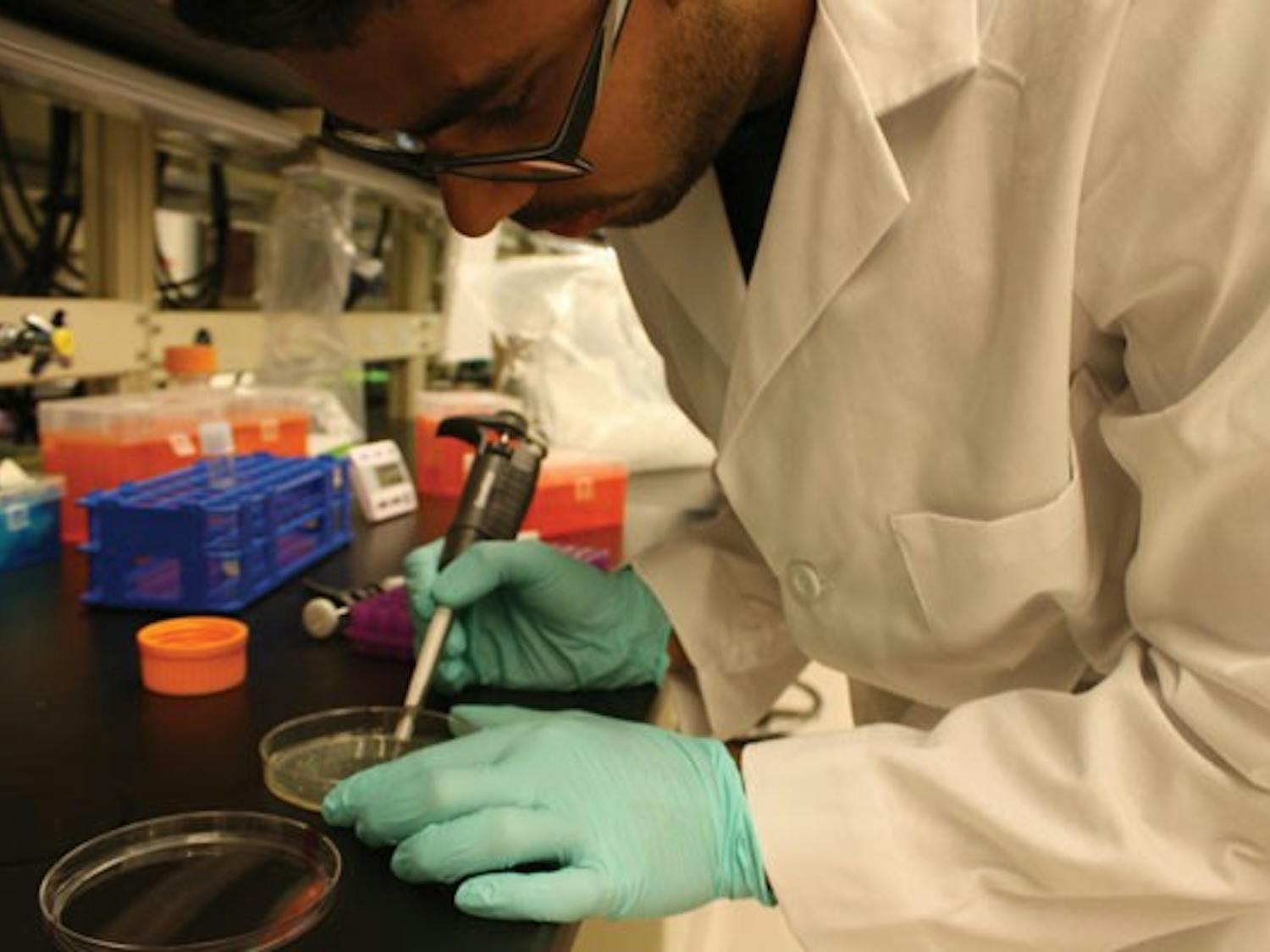 Biomedical Engineer junior Abhinav Markus works with a pipette tool to isolate a single colony from the bacteria plate. (Photo by Jessie Wardarski)