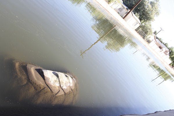 A tire lays in the Arizona Canal covered with algae as small fish swim in and out of the trash that fills their home. (Photo by Ana Ramirez)