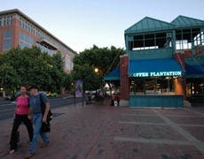 p10_millavebirds_web2