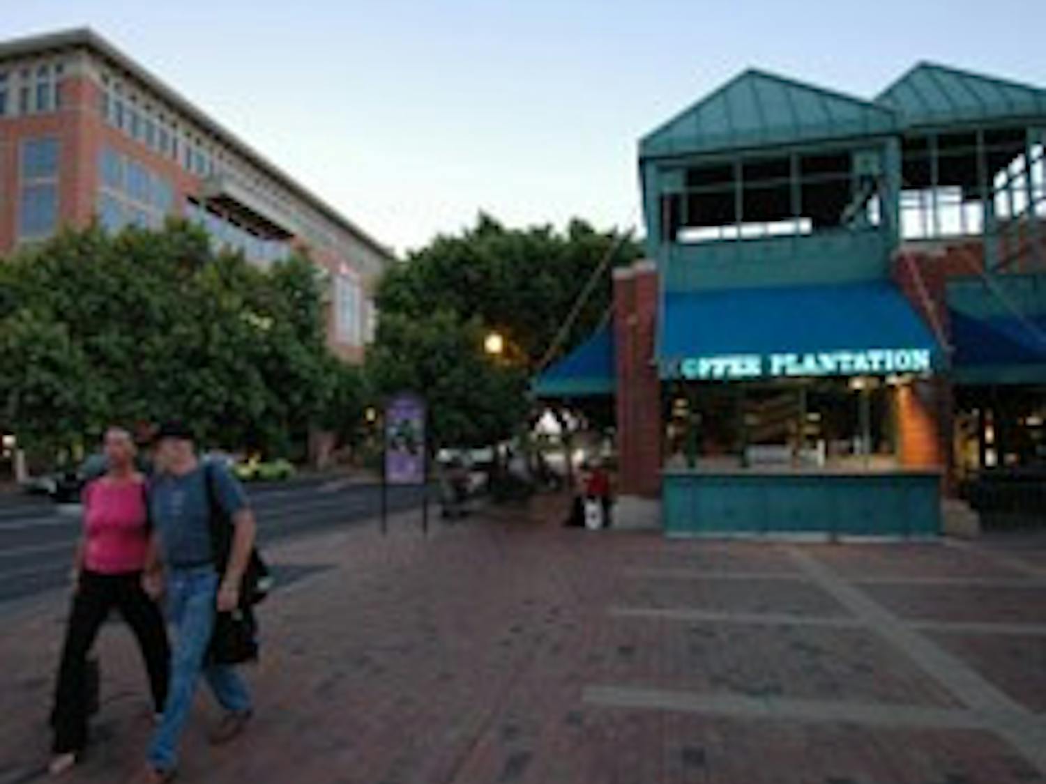 p10_millavebirds_web2