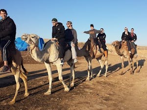 Jewish students riding camels during birthright trip. Photo from @HillelASU Facebook.