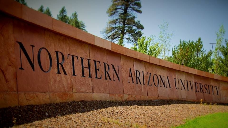 northern arizona university