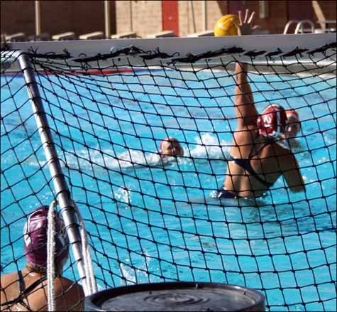 WaterPolo_2.1-WEB