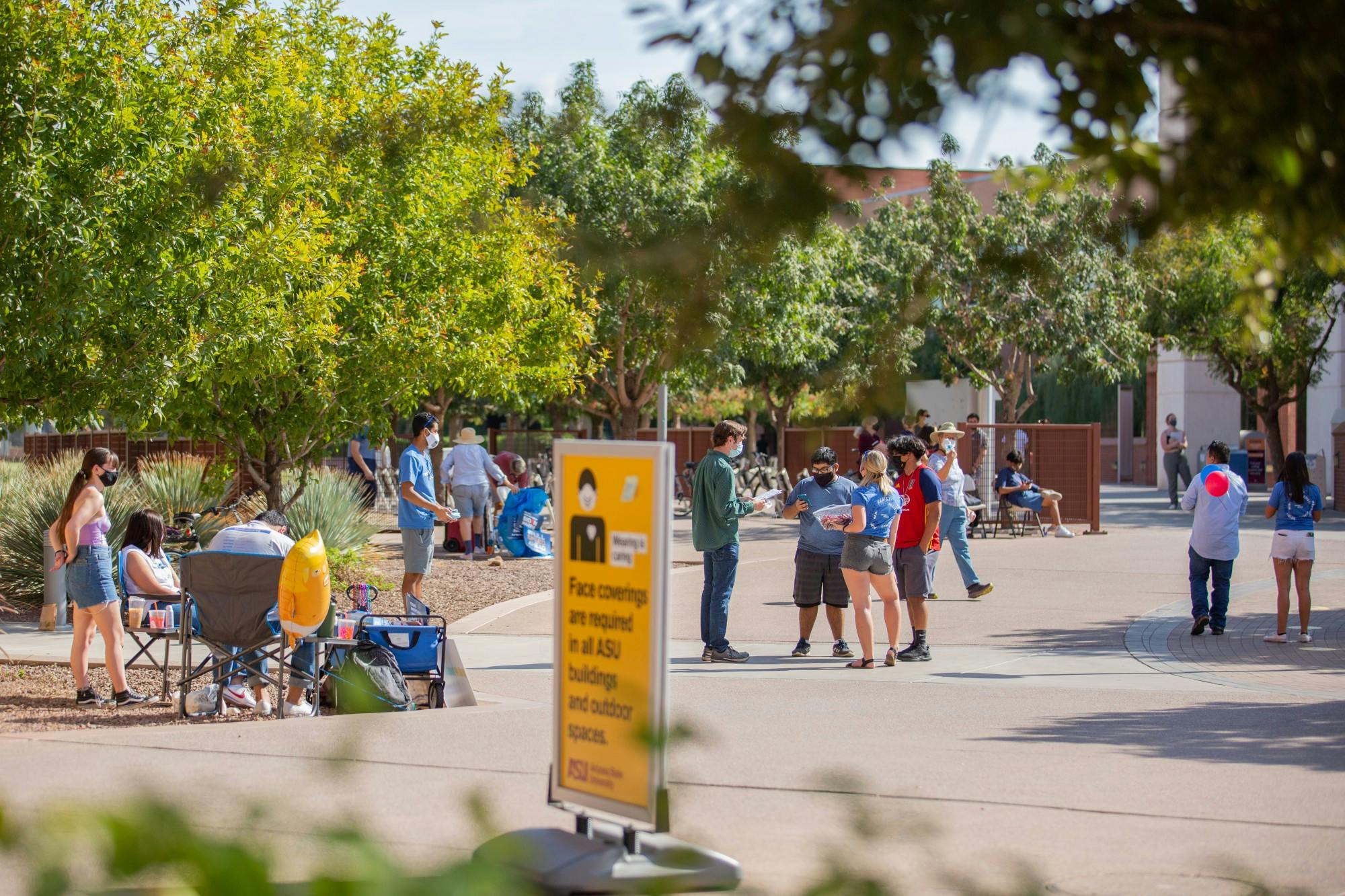 20201103-election-poll-observers