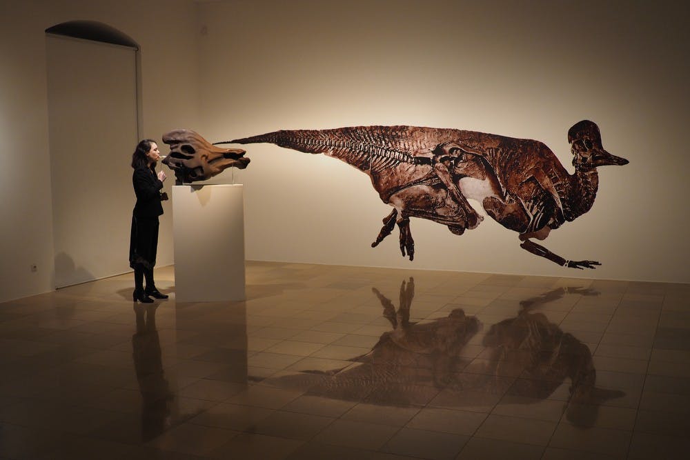 Courtney Brown blows into a dinosaur skull to produce dinosaur-like noises during an art gallery demonstration at ASU's eMerge Festival and Gallery Show in Tempe on March 2, 2013.