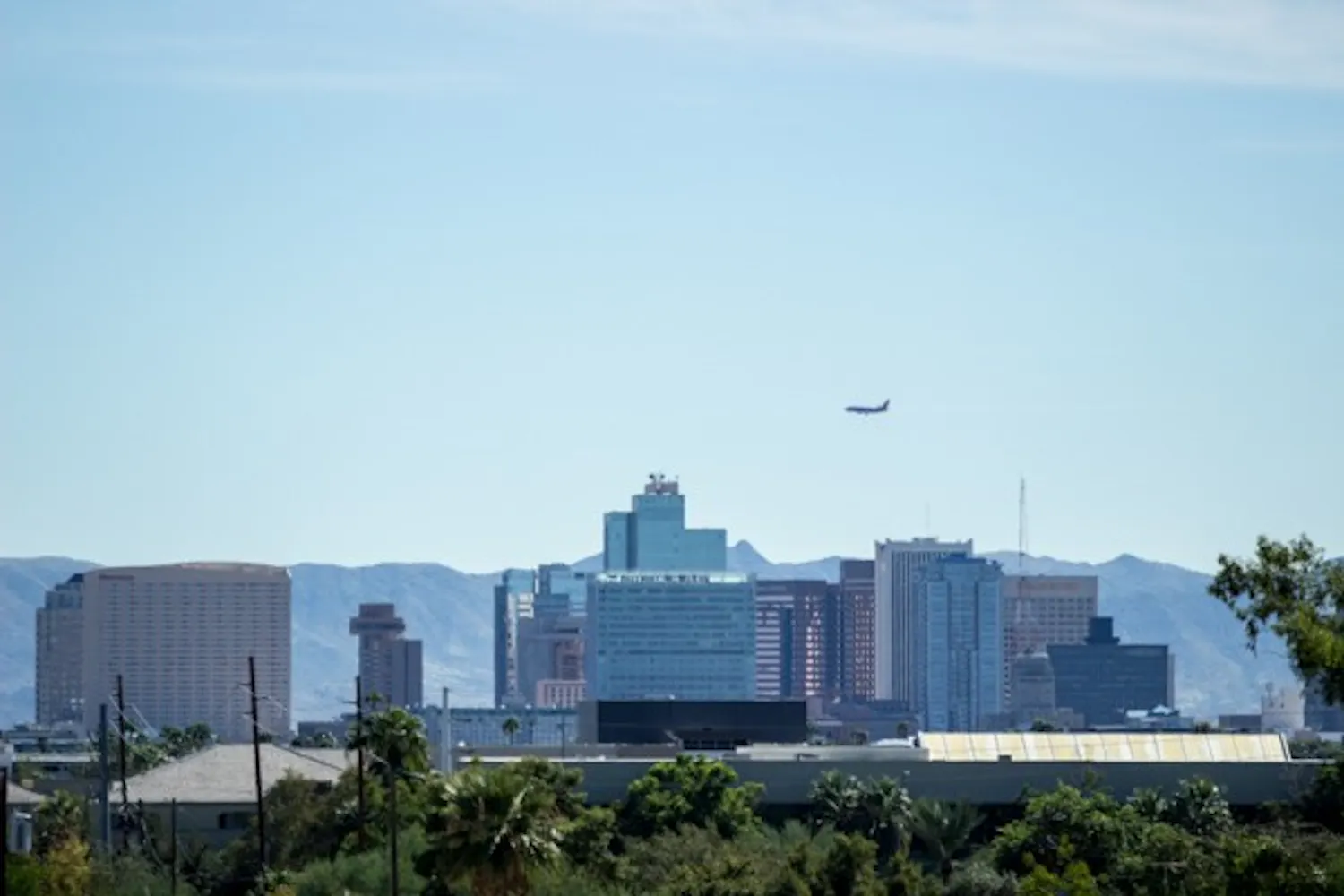 The Center for Integrated Solutions to Climate Challenges at ASU released a report in July about the effectiveness of strategies to lower the urban heat island effect. The report showed that Phoenix's use of urban forestry and cool roofs have helped reduce temperatures in the area. (Photo by Alexis Macklin)