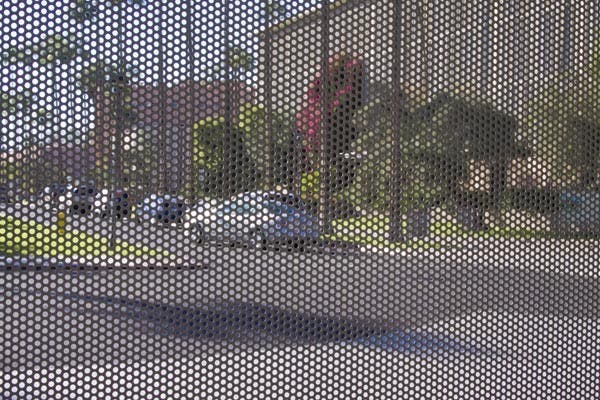 SCREEN VISION: Campus takes on a new dimension through the metal screens of the bus stop near the Student Services building. (Photo by Annie Wechter)