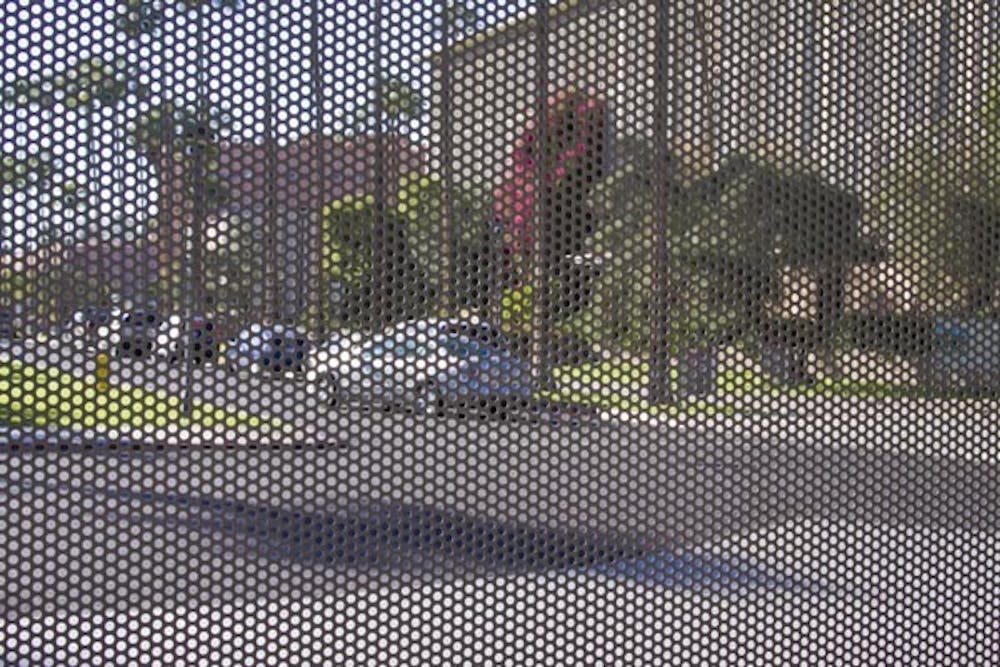 SCREEN VISION: Campus takes on a new dimension through the metal screens of the bus stop near the Student Services building. (Photo by Annie Wechter)