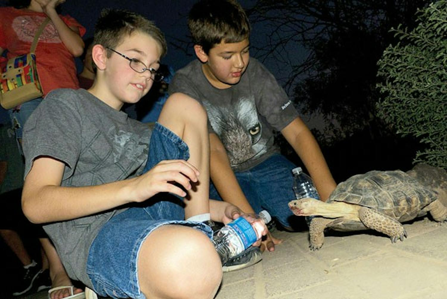 Children attending a flashlight tour at the Desert Botanical Garden stop at a station to visit a desert tortoise. (Photo courtesy of Desert Botanical Garden)