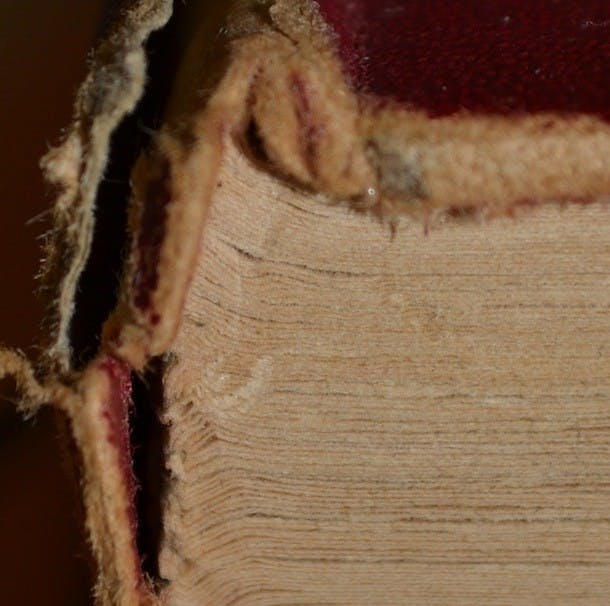 Fibers unbound. 
Photo by Mackenzie McCreary