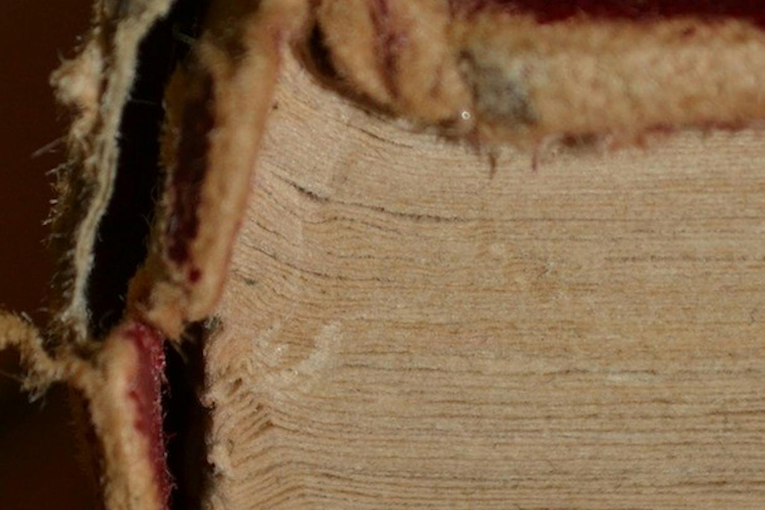 Fibers unbound.
Photo by Mackenzie McCreary